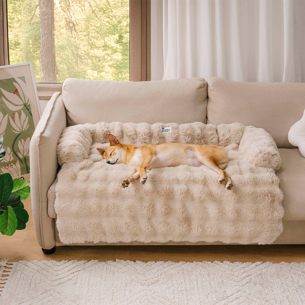 Calming Dog Bed & Sofa Protector