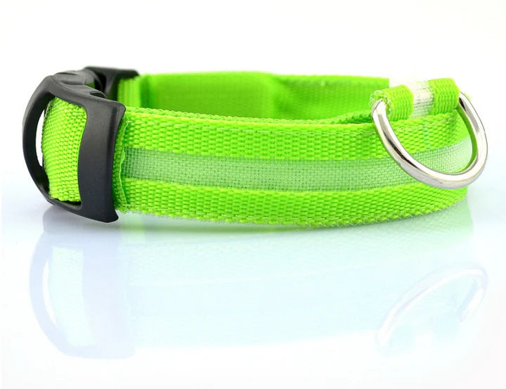 LED Dog Collar USB Rechargeable