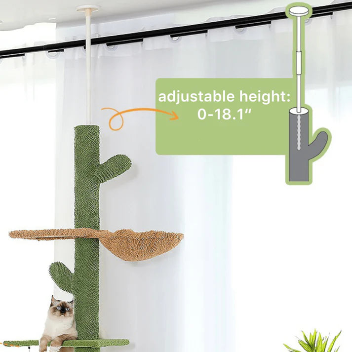 The Scratching Cactus Climbing Pole