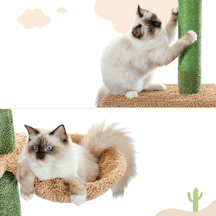 The Scratching Cactus Climbing Pole