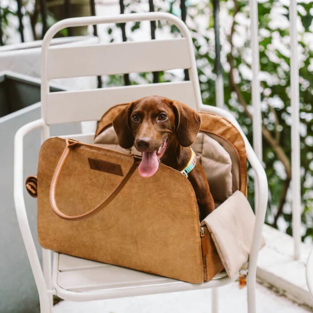 Vogue Eco-friendly Multi-functional Pet Travel Bag - City Roamer