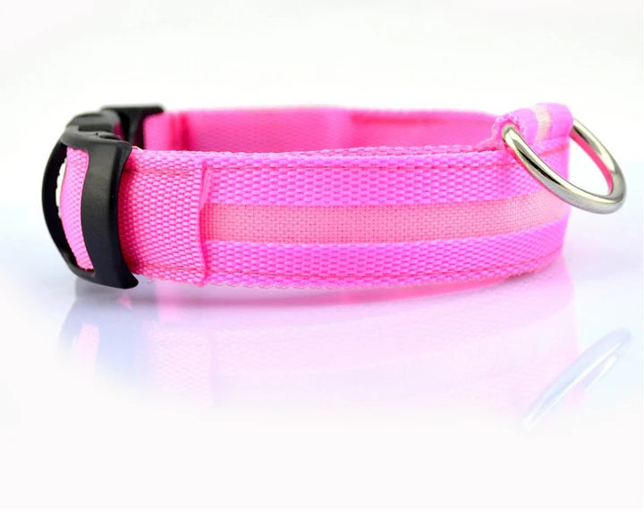 LED Dog Collar USB Rechargeable