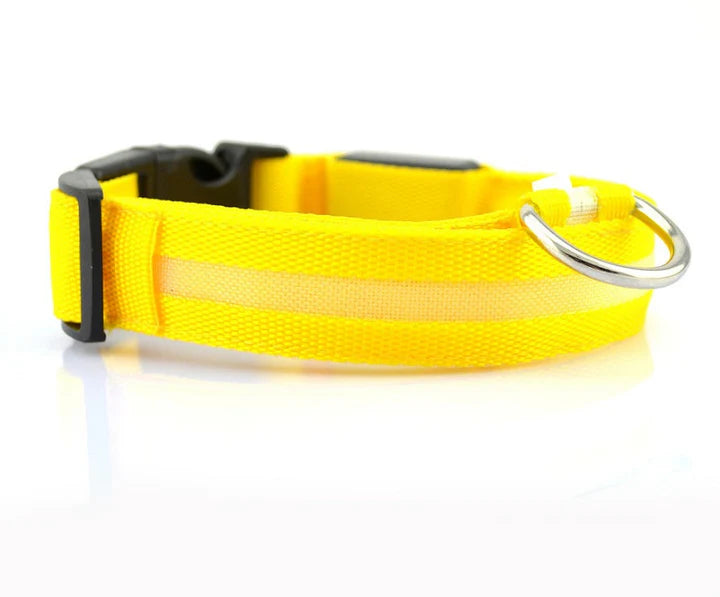 LED Dog Collar USB Rechargeable