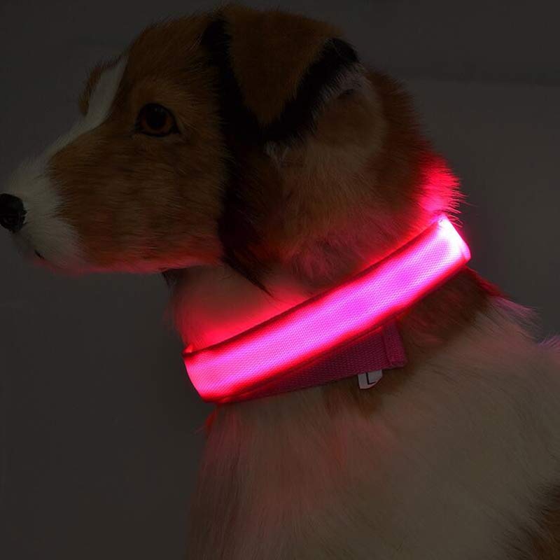 LED Dog Collar USB Rechargeable