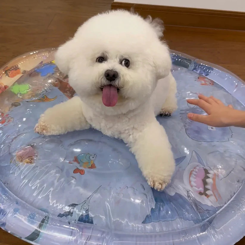 Pet Cooling Water Bed