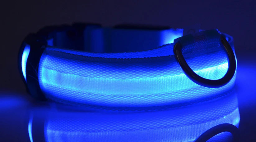 LED Dog Collar USB Rechargeable