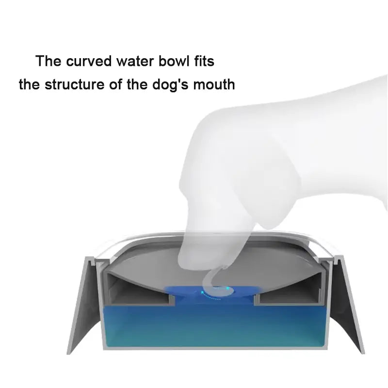 No-Spill Pet Water Bowl with Floating Disc