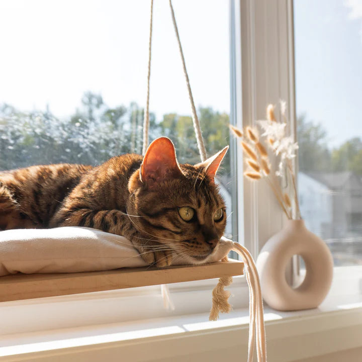 “The Cloud” Cat Window Bed