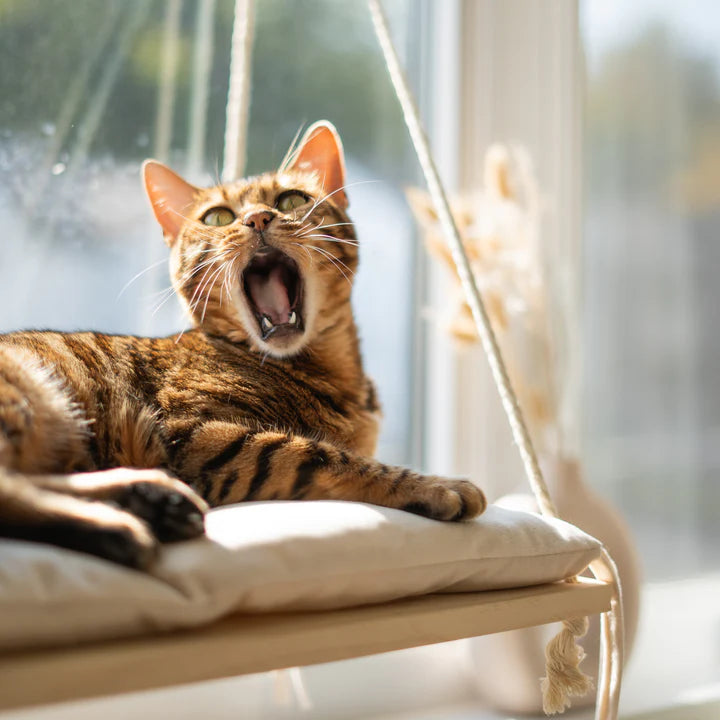 “The Cloud” Cat Window Bed