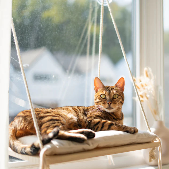 “The Cloud” Cat Window Bed