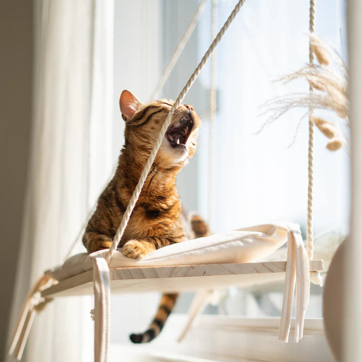 “The Cloud” Cat Window Bed