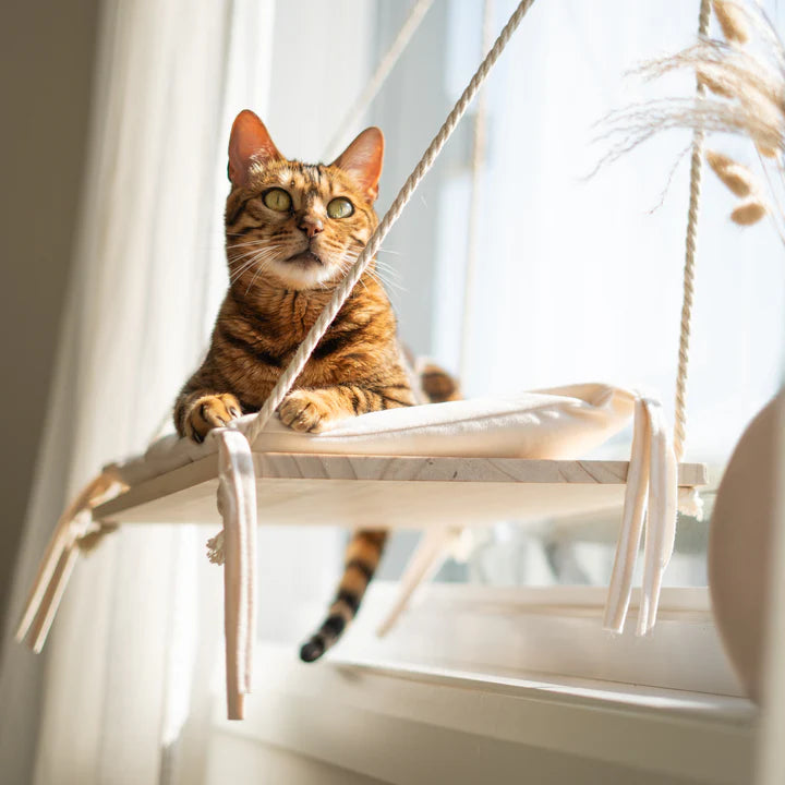 “The Cloud” Cat Window Bed