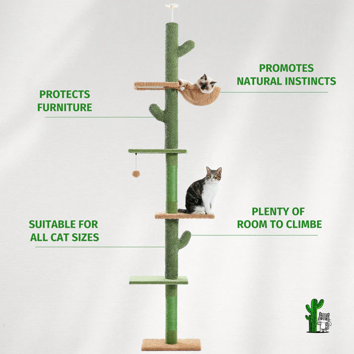 The Scratching Cactus Climbing Pole