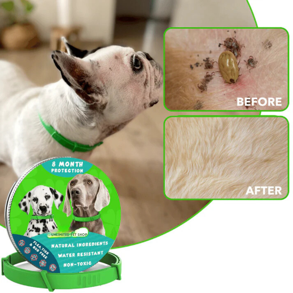 8 Months Flea and Tick Free Collar