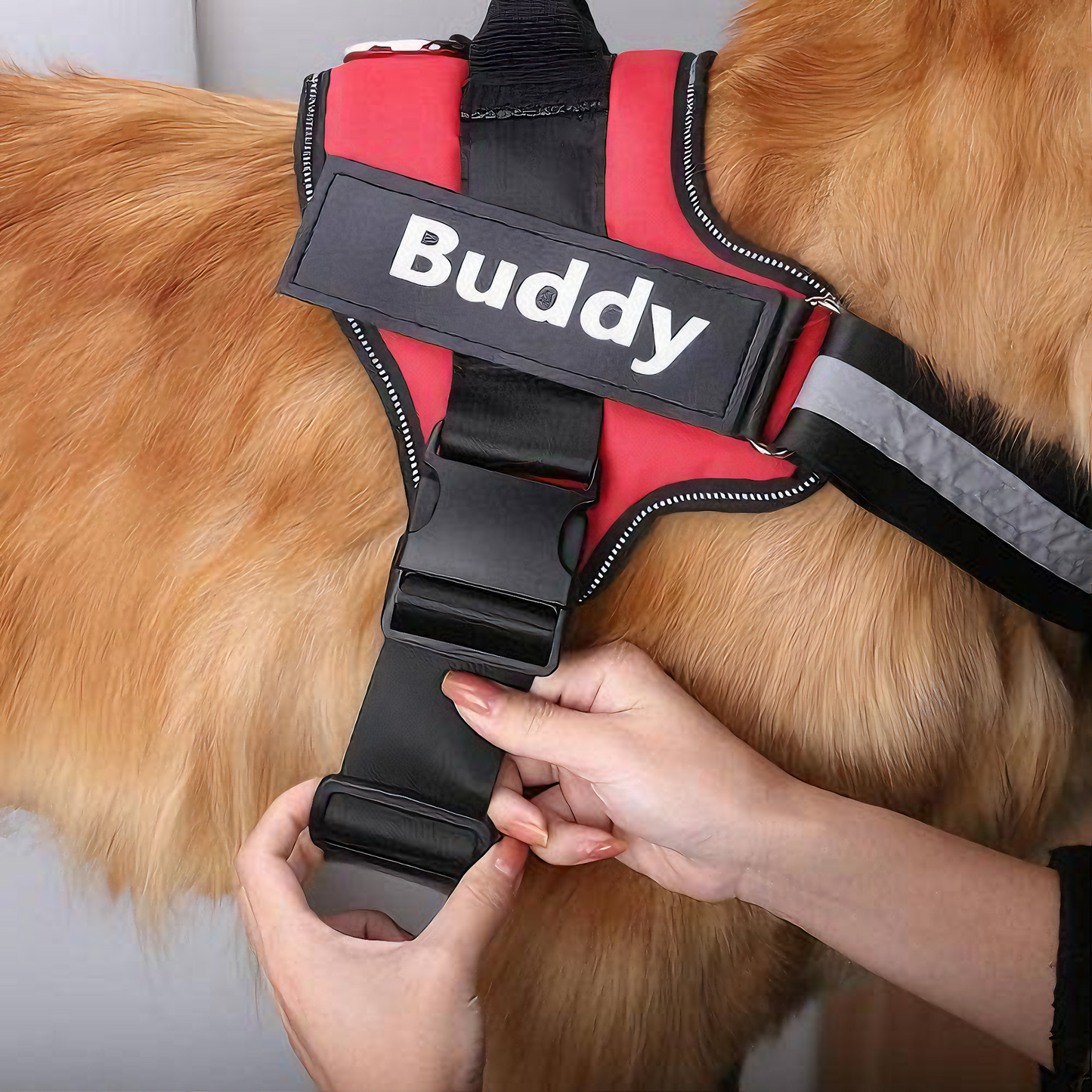 Personalized No-Pull Dog Harness