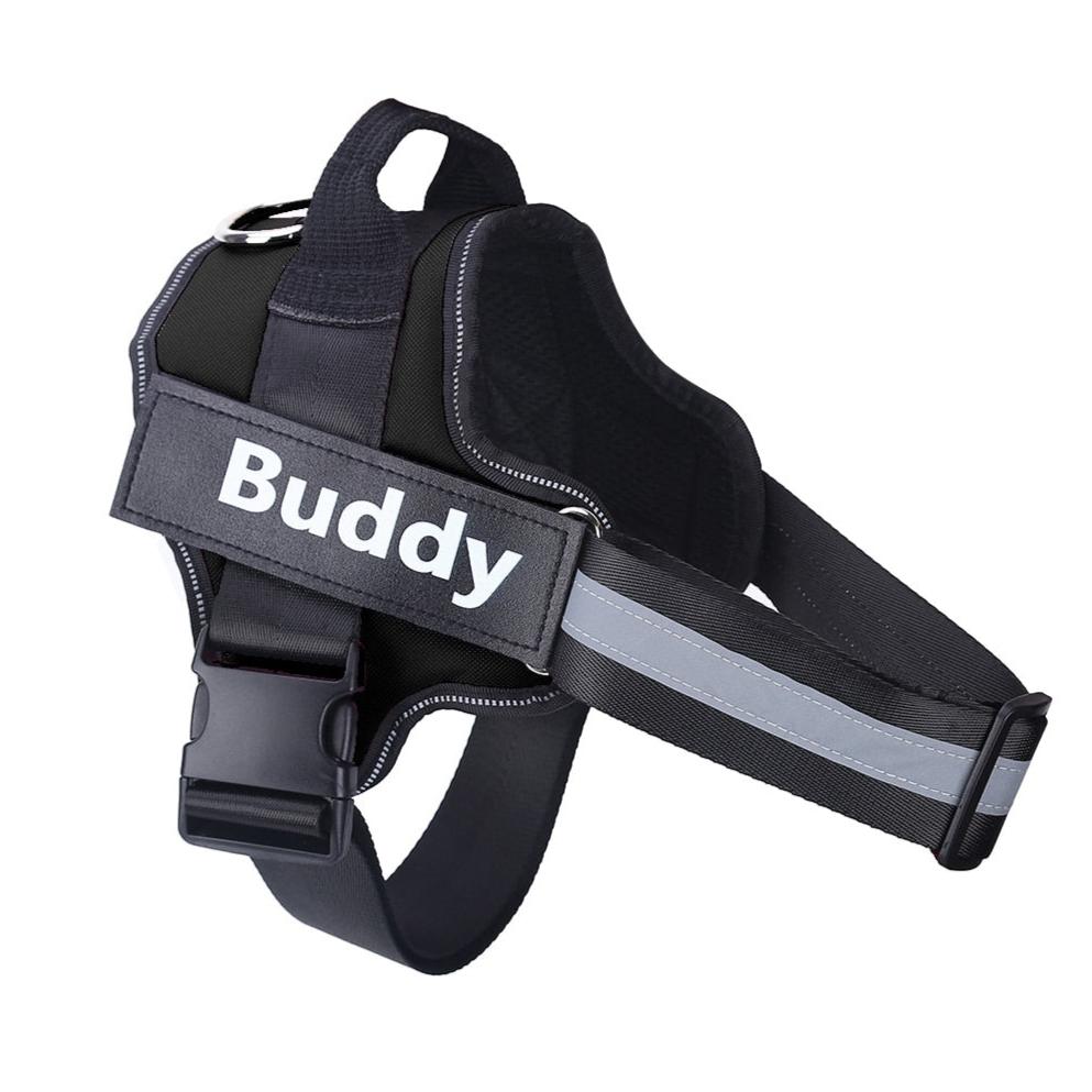 Personalized No-Pull Dog Harness