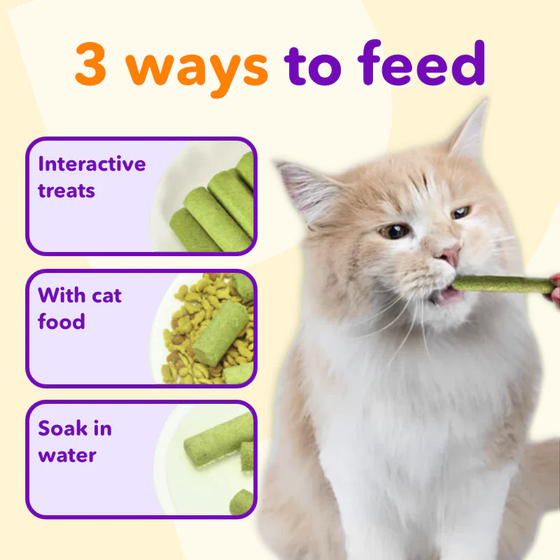 Catnip Chewing Sticks (6 Pieces)